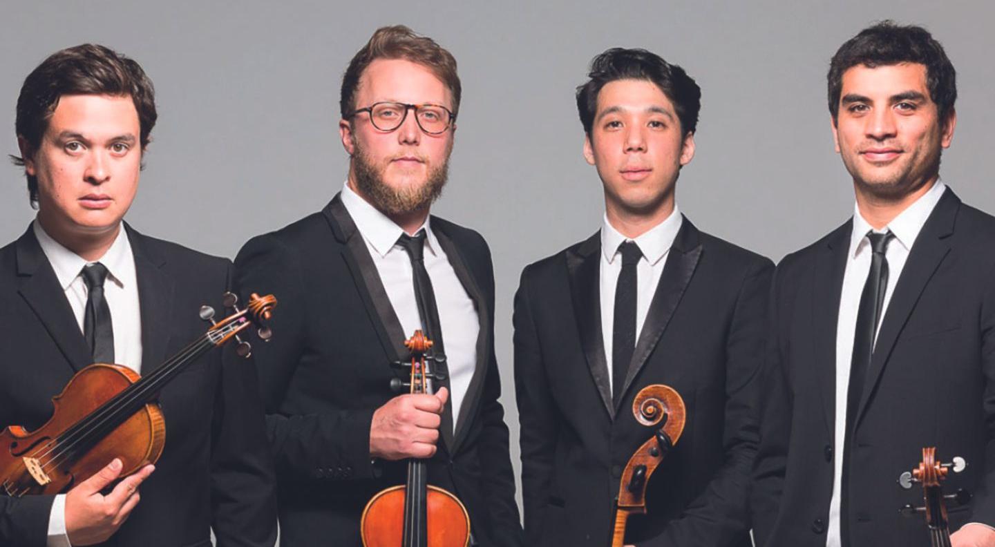 an image of the string quartet holding their instruments against a grey background